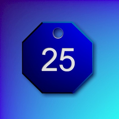 Numbered Aluminium Tags - Dark Blue Octagon