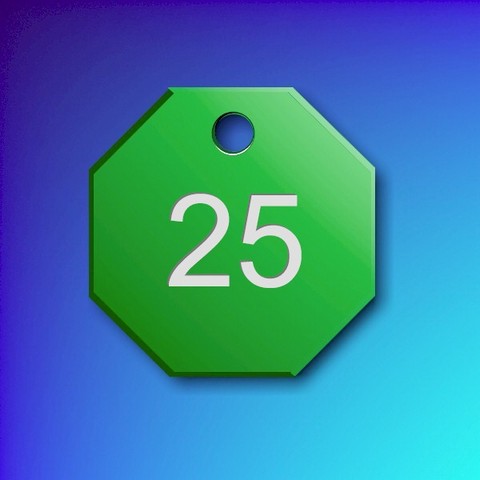 Numbered Aluminium Tags - Green Octagon