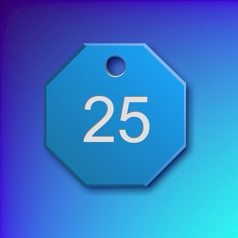 Numbered Aluminium Tags - Light Blue Octagon