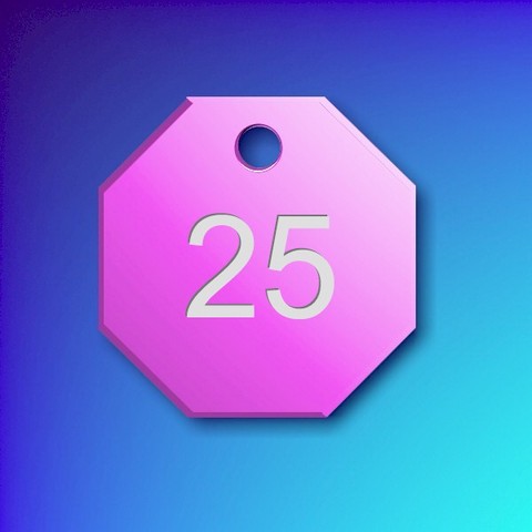 Numbered Aluminium Tags - Pink Octagon